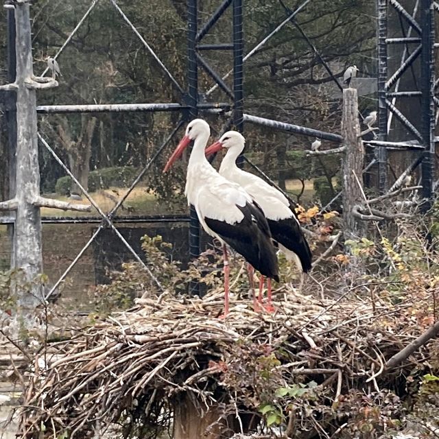 わかりやすい！大阪eco動物海洋専門学校　天王寺動物園