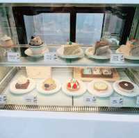 Foam Cat Cafe in Taichung