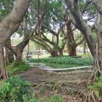 市區裡也有一片寧靜-民生社區公園