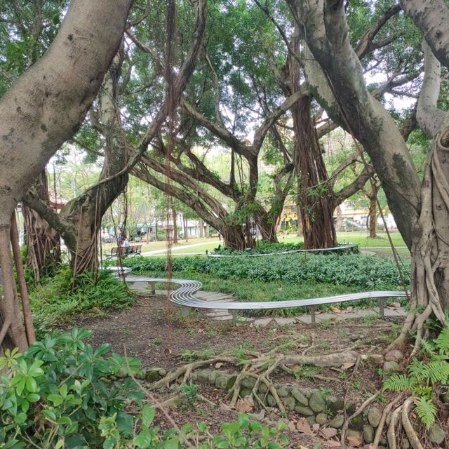 市區裡也有一片寧靜-民生社區公園