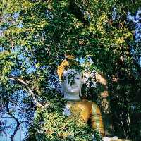 ไหว้พระ ชมวิวที่พระธาตุดอยสุเทพ