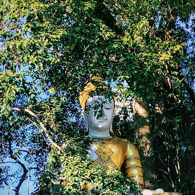 ไหว้พระ ชมวิวที่พระธาตุดอยสุเทพ