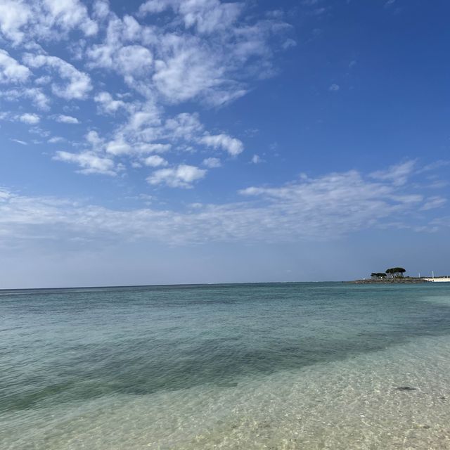 沖繩美麗海水族館