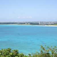 来間島　トロピカルフルーツを
