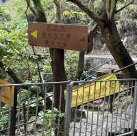 獅子山精神