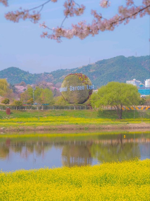 2023 국내 최대규모의 튤립정원 "순천만 국가정원"