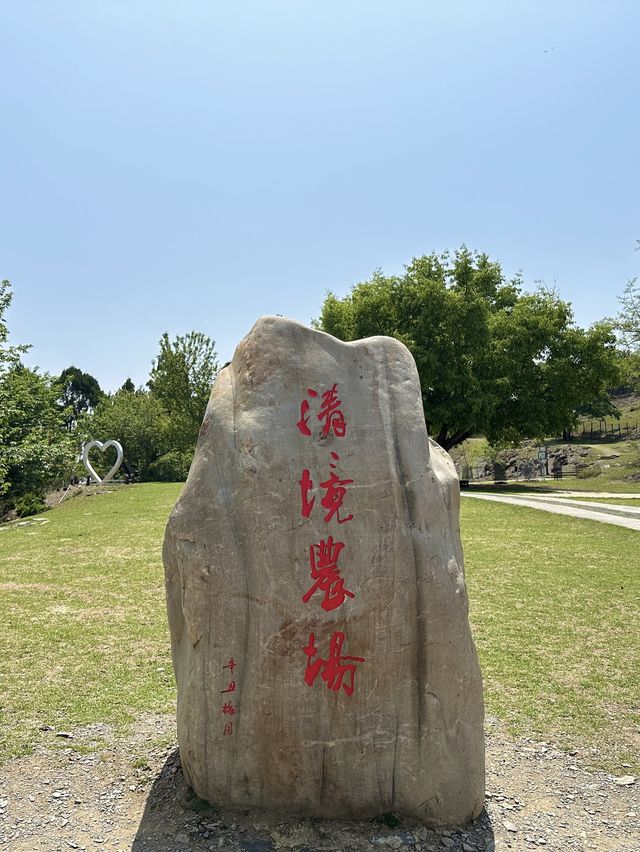 【 2023 南投景點 】清境農場/青青草原 綿羊秀 馬術秀