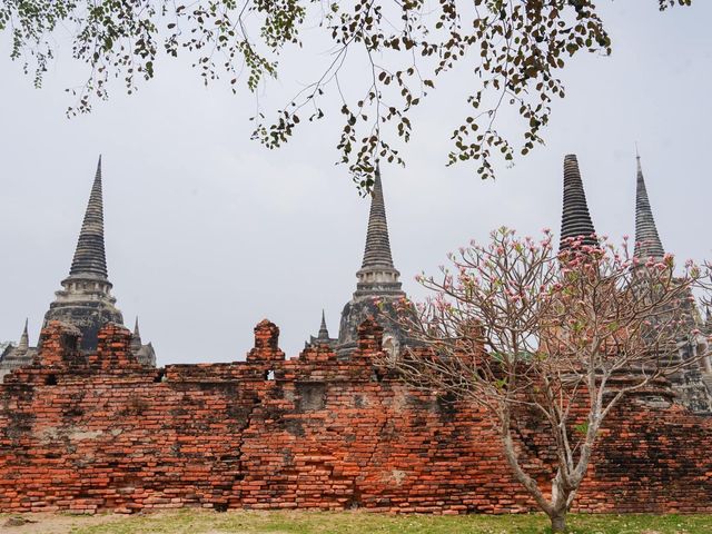 วัดพระศรีสรรเพชญ์ อุทยานประวัติศาสตร์อยุธยา
