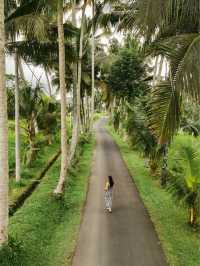Bali | discover Tibumana waterfall with me