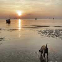 Koh tao island