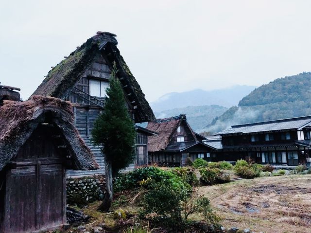 【岐阜】雨振りでも楽しい旅行♪