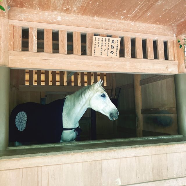 【三重】お伊勢参りは下宮から⛩️