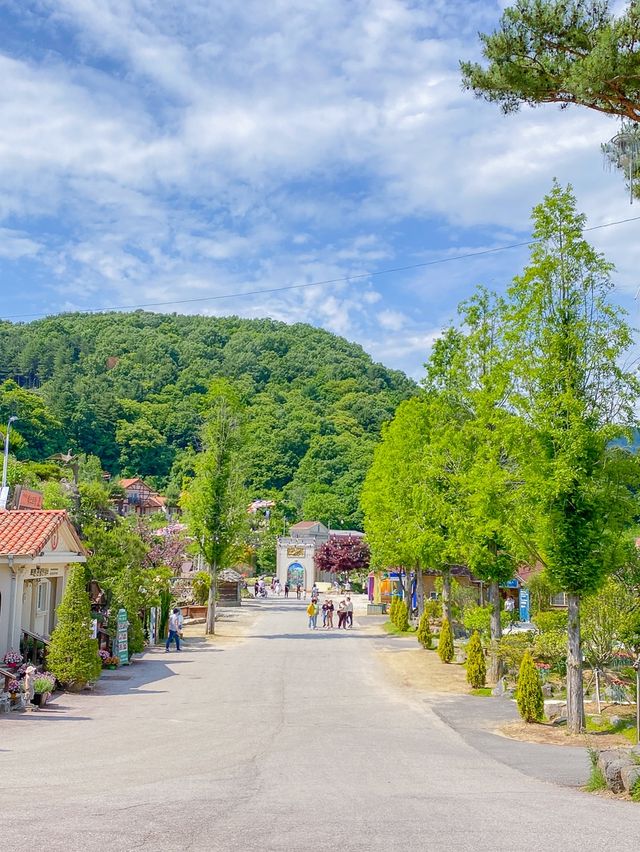 서울 근교 라벤더 축제 💜포천 허브아일랜드