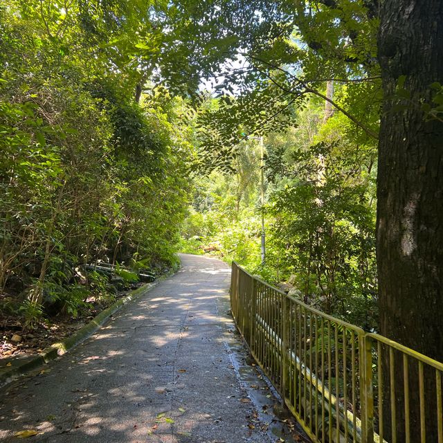 A beautiful hike, central to Victoria Peak