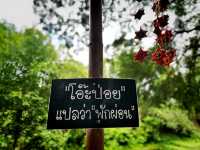 ตลาดโอ๊ะป่อย 📍สวนผึ้ง ราชบุรี