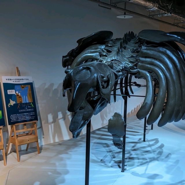 【札幌に新オープン！】水族館があるショッピングモール