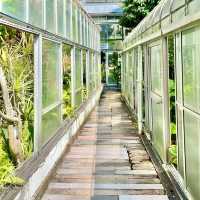 【熱川バナナワニ園】たくさんの熱帯植物に癒される