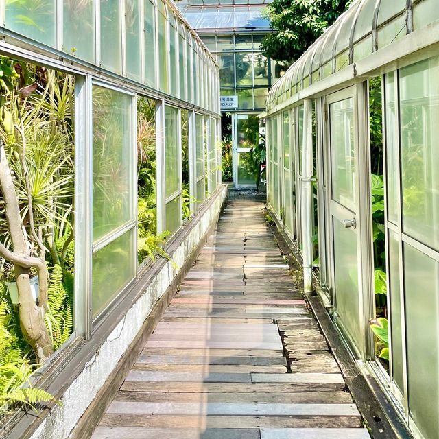 【熱川バナナワニ園】たくさんの熱帯植物に癒される