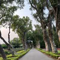 🏰 士林官邸 | 歷史奇蹟 🌸🏰 