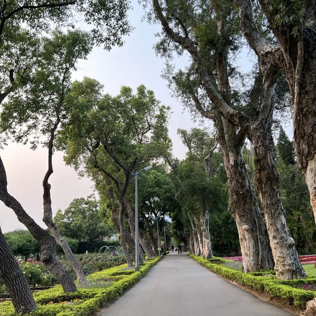 🏰 士林官邸 | 歷史奇蹟 🌸🏰 