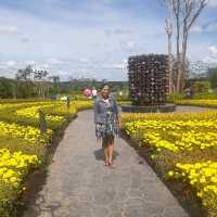 Rayong Thailand Beautiful Flower Garden