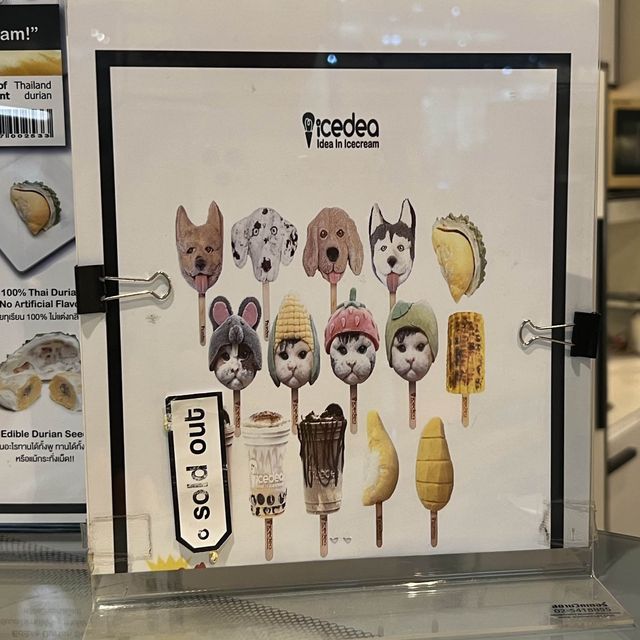 먹기 미안한 독특한 🐈고양이 아이스크림이 있는 IceDea 방콕 아이스크림 가게