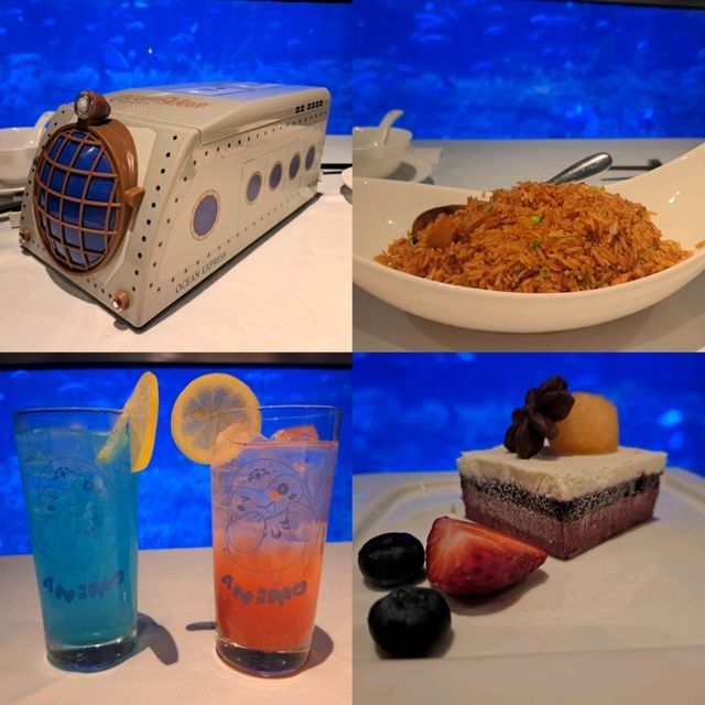 水族館主題高級餐廳🐟🐠邊食邊睇魚😍午餐美食分享👍