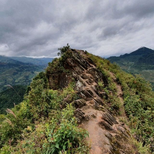 Sống Lưng Khủng Long Yên Bái