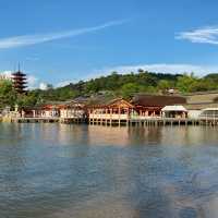 海の上の鳥居の厳島神社⛩️