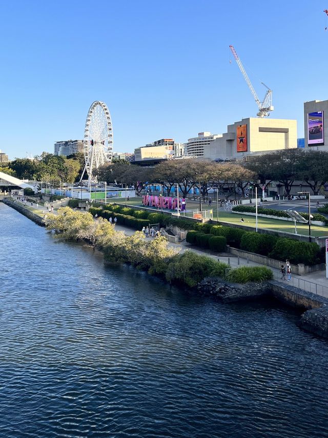 브리즈번 가면 꼭 건너야하는 빅토리아브릿지🌉