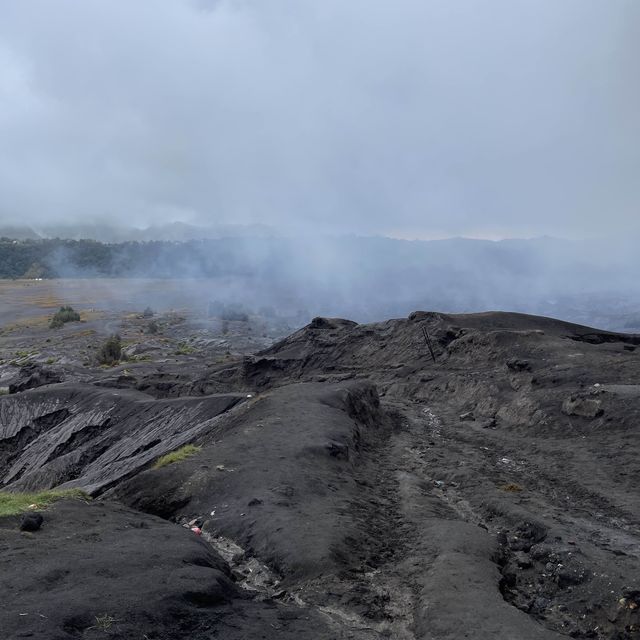 Discover adventure hike to Mount Bromo 