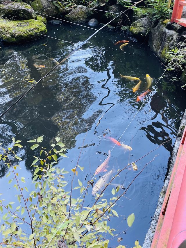 【神奈川県/下之水神宮】赤い橋と流れる滝がシンボル