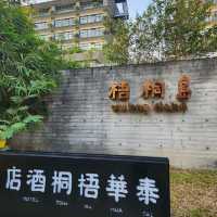 深圳隱世水上森林-泰華梧桐島