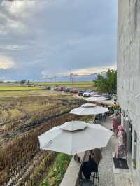 Aesthetic Cafe in Paddy Field 🌾