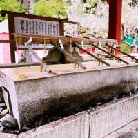 Exploring Nikko World Heritage in Japan