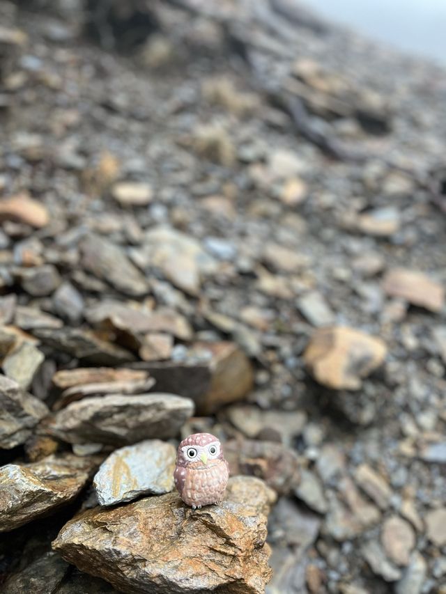 🏔️ 台灣最高峰玉山 3952 公尺🚩台灣百岳挑戰成功！
