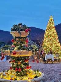 블링블링 트리분수가 너무 예쁜 메리클리프🎄