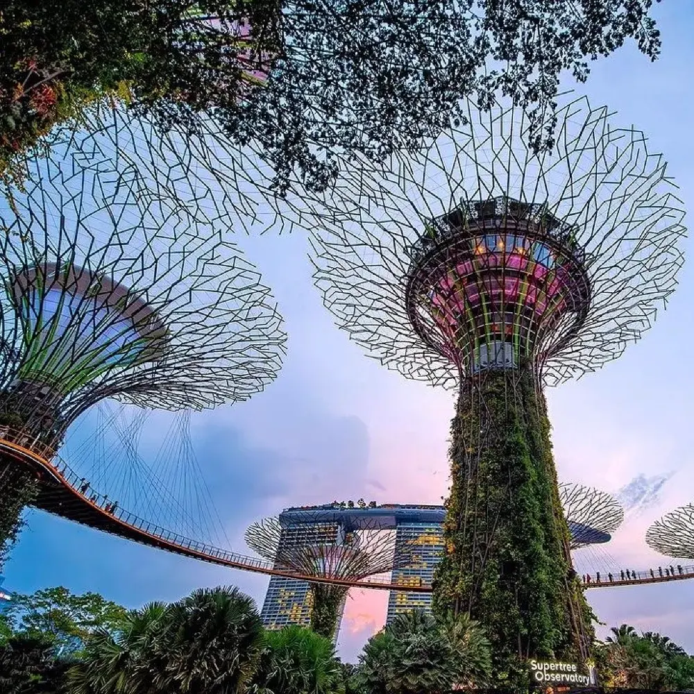Garden By The Bay, Singapore