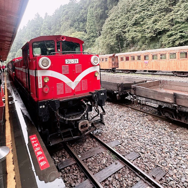 Alishan National Forest Recreation Area