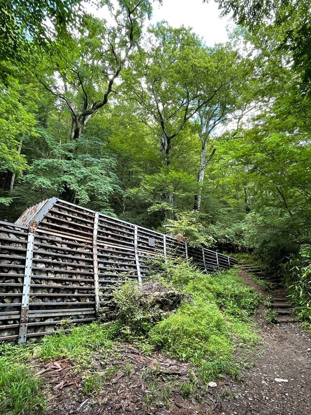 【山梨県/石割神社】2023年行ってよかった！山梨県の神社②