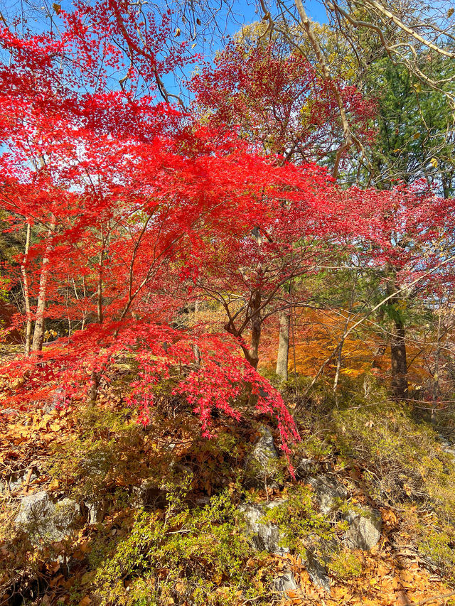 대구 시내를 한눈에 구경할 수 있는 곳🏞️