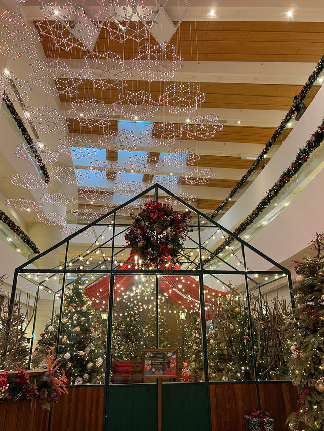太古廣場😝全港最令聖誕🎄打卡位😳夢幻森林