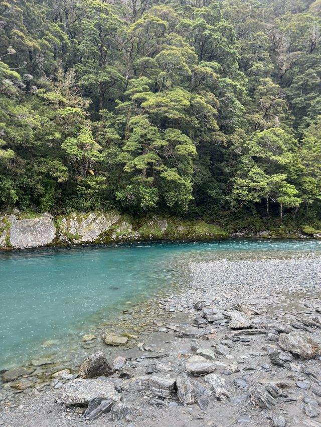 紐西蘭旅遊景點，南島必來簡單步道