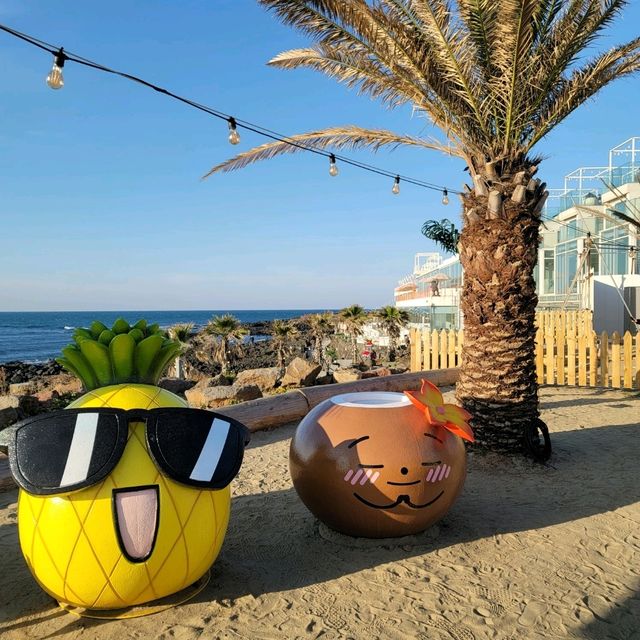 나혼자 제주여행🍊