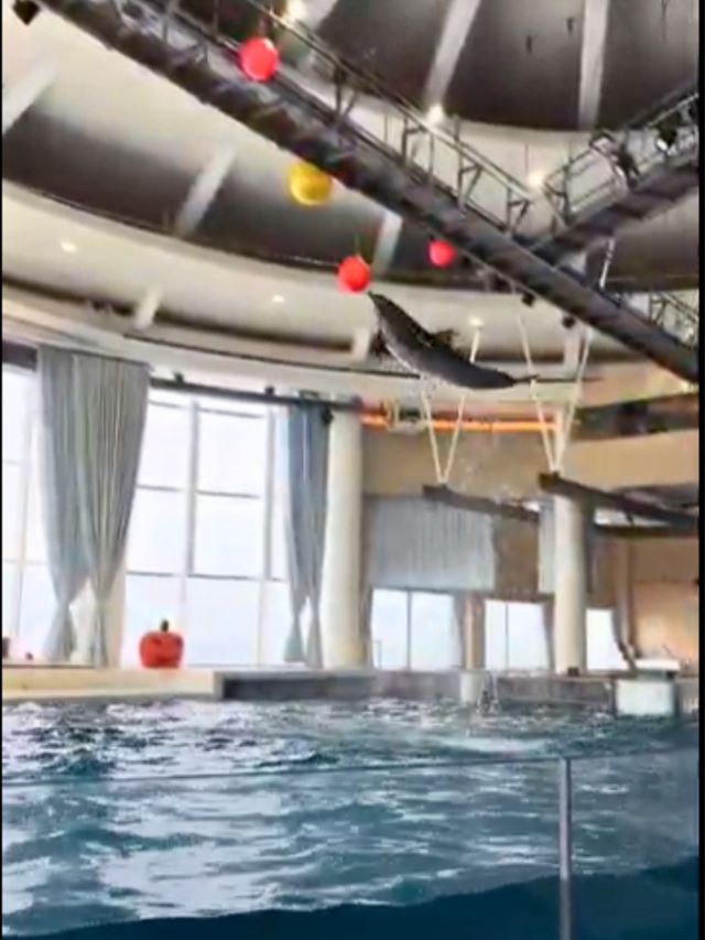 🤡Aqua World Oarai Aquarium วิวมหาสมุทรที่งดงาม