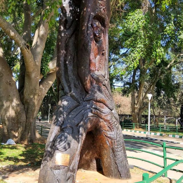 Exploring the serenity of Lalbagh Garden 