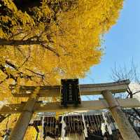兩個東京巿區隱敞超美銀杏神社