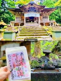 【初詣】2024年にお参りしたい！龍にまつわる神社5選⛩