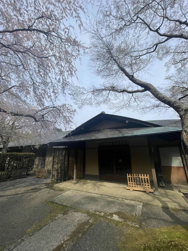 芸術の世界に作られた本格的な茶室 一白庵