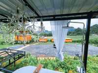 ฮาโล โฮมสเตย์ Halo Homestay อ.แม่แตง จ.เชียงใหม่